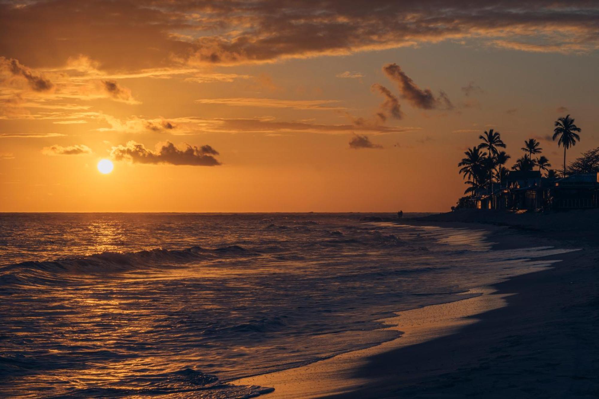 Joia Bavaro By Iberostar (adults Only) Punta Cana